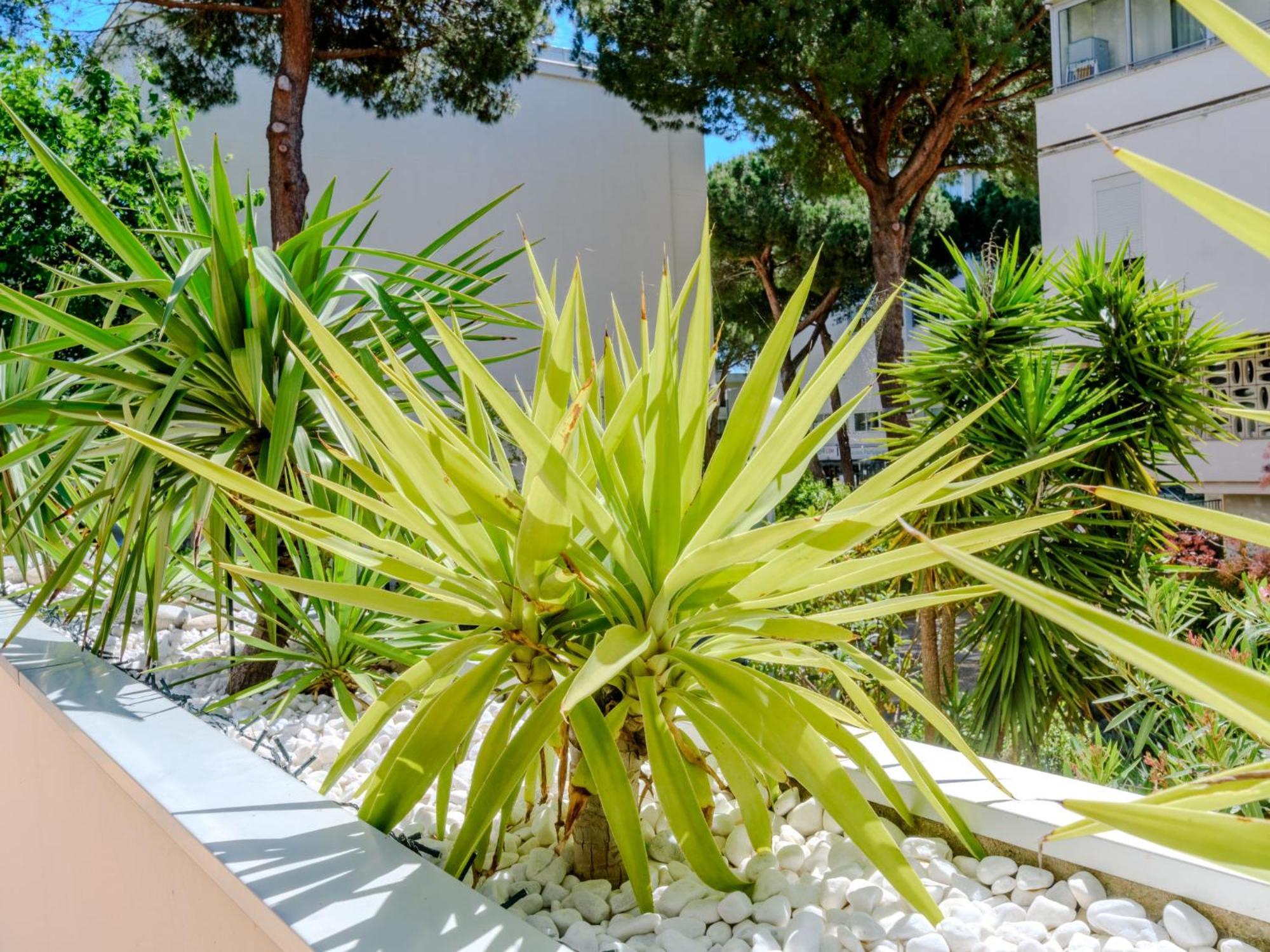 Apartment Antinea-4 By Interhome La Grande-Motte Exterior photo